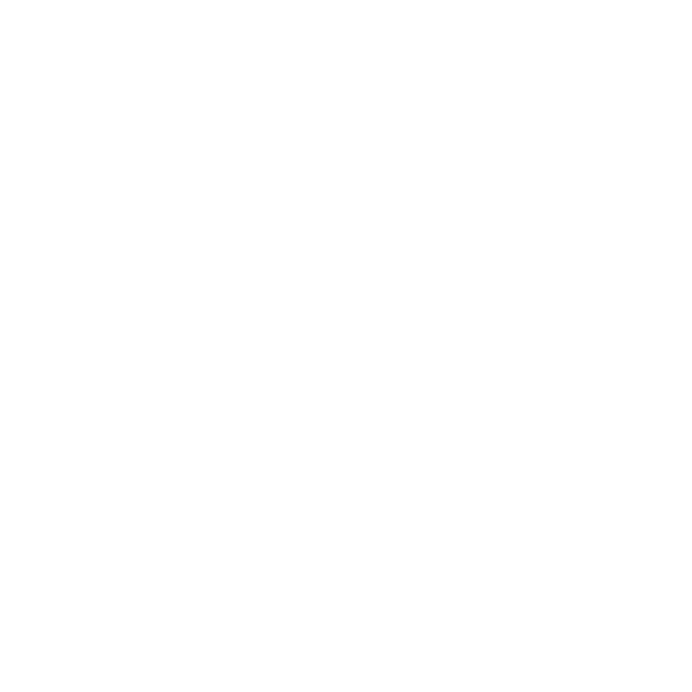 Blu Ventures logo