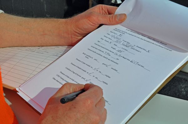 Laptop and paperwork on a desk for business filing